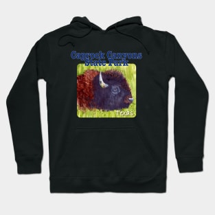 Caprock Canyons State Park & Trailway, Texas Hoodie